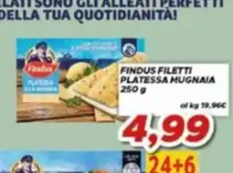 MA Supermercati Findus filetti platessa mugnaia offerta