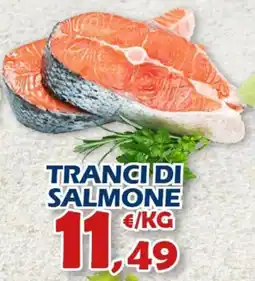 Mercogel Tranci di salmone offerta