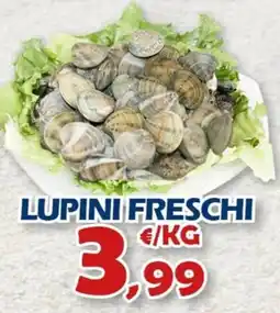 Mercogel Lupini freschi offerta