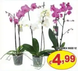 Sacoph Orchidea Vaso offerta