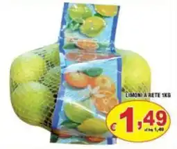 Sacoph Limoni a rete offerta