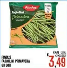 Supermercati EffePiù Findus Fagiolini Primavera offerta