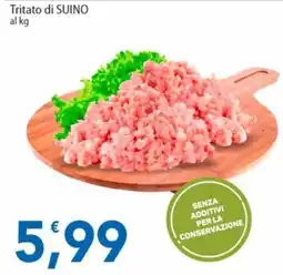 Sidis Tritato di SUINO offerta