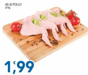 Sidis Ali di pollo offerta