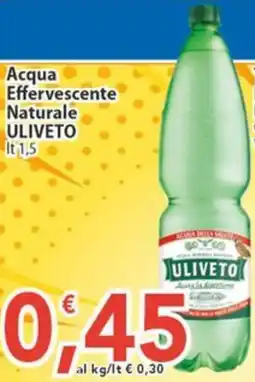 Sidis Acqua Effervescente Naturale Uliveto offerta