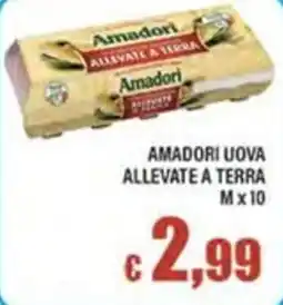 Top Supermercati Amadori uova allevate a terra offerta