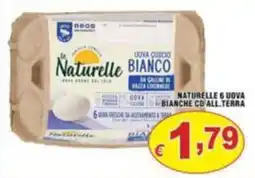Sacoph Uova bianche da allevamento a terra offerta