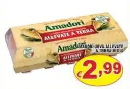 Sacoph Amadori uova allevate a terra offerta