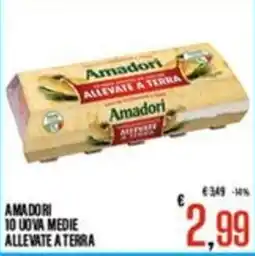 Supermercati EffePiù Amadori uova medie allevate a terra offerta