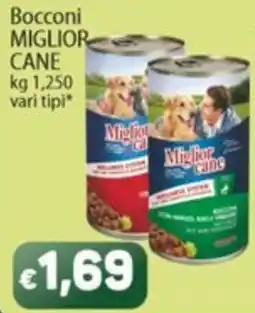 Sidis Bocconi Miglior Cane offerta
