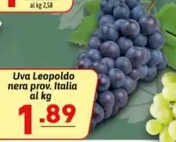 Ipercarni Uva Leopoldo nera prov. Italia offerta