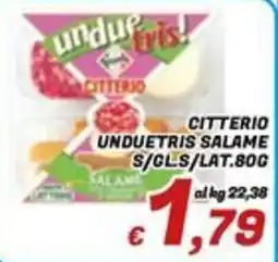 Idromarket Citterio unduetris salame offerta