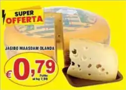 Sacoph Jagibo Maasdam Olanda offerta