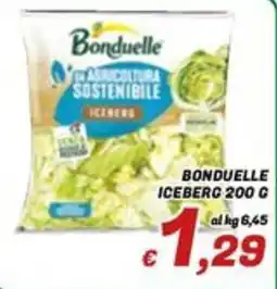 Idromarket Bonduelle iceberg offerta