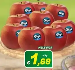 Idromarket Mele Giga offerta