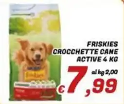 Idromarket Friskies crocchette cane active offerta
