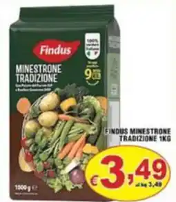 Sacoph Findus Minestrone Tradizione offerta