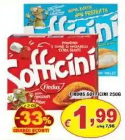 Sacoph Sofficini Findus offerta