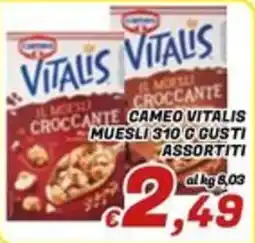 Idromarket Cameo Vitalis Muesli offerta