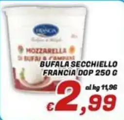 Idromarket Mozzarella di bufala di campagna Francia DOP offerta