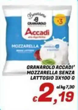 Idromarket Mozzarella senza lattosio offerta
