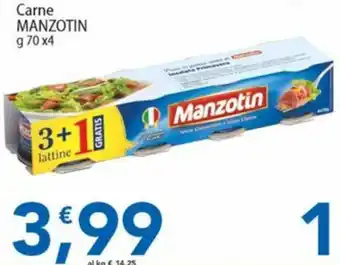 Carne Manzotin