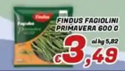 Idromarket Findus fagiolini primavera offerta