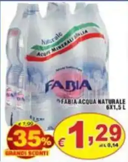 Sacoph Fabia acqua naturale offerta