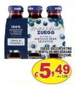 Sacoph Succhi vetro mirtillo/melegrano Zuegg offerta