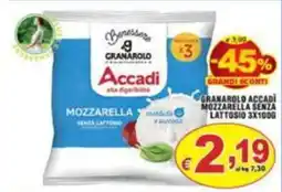 Sacoph Granarolo Accadi Mozzarella senza lattosio offerta