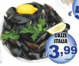 Sacoph Cozze Italia offerta