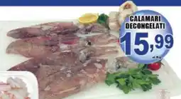 Sacoph Calamari decongelati offerta