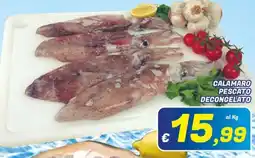 Idromarket Calamaro pescato decongelato offerta