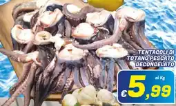 Idromarket Tentacoli di totano pescato decongelato offerta