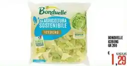 Supermercati EffePiù Bonduelle Iceberg offerta