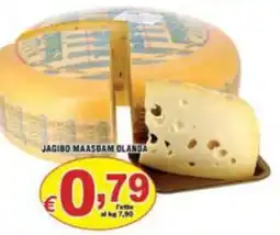 Sacoph Jagibo Maasdam Olanda offerta
