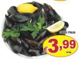 Sacoph Cozze Italia offerta