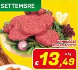 Idromarket Hamburger bovino adulto offerta