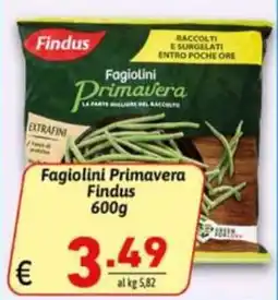 Ipercarni Fagiolini Primavera Findus offerta