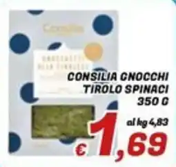 Idromarket Consilia gnocchi tirolo spinaci offerta