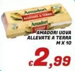 Idromarket Amadori uova allevate a terra offerta