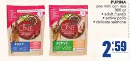 Gruppo di Palo Purina One mini con riso offerta