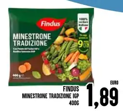 Al Discount Findus Minestrone Tradizione IGP offerta