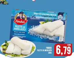 Al Discount Findus filetti di merluzzo offerta
