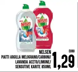 Al Discount Nelsen Piatti Argilla Melograno/Carboni/Lavanda Aceto/Limone/Sensitve Karite offerta