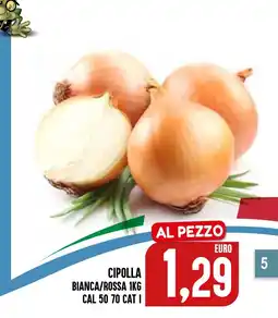 Al Discount Cipolla bianca/rossa offerta