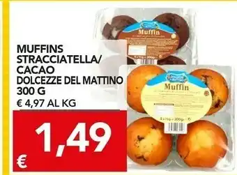 TuoDi Muffin alla stracciatella con gocce di cioccolato 300 g(ml) offerta
