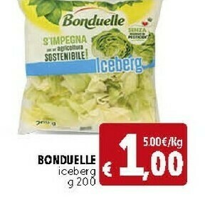 Deco Supermercati Iceberg offerta