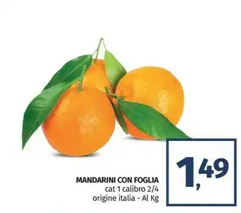 Mandarini con foglia
