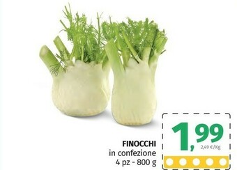 Pam Finocchi offerta